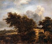 RUISDAEL, Jacob Isaackszon van The Thicket china oil painting artist